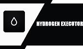 hydrogen-executor
